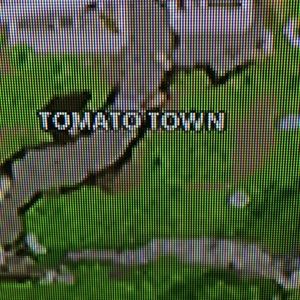 Meet your Posher, Skye